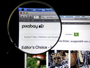 开云官网-体育新闻中心发布体育短视频传播效果白皮书，体育短视频成为平台和用户的新宠