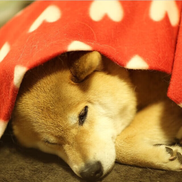 开云体育官网上-球星领导力在比赛中真实体现方式，体育中的领导力