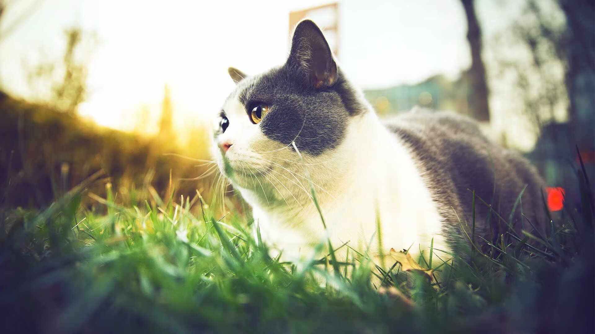 开云体育官网上-项目启发街道清洁运动，成为阿尔及利亚最大环境行动，阿尔及利亚务工