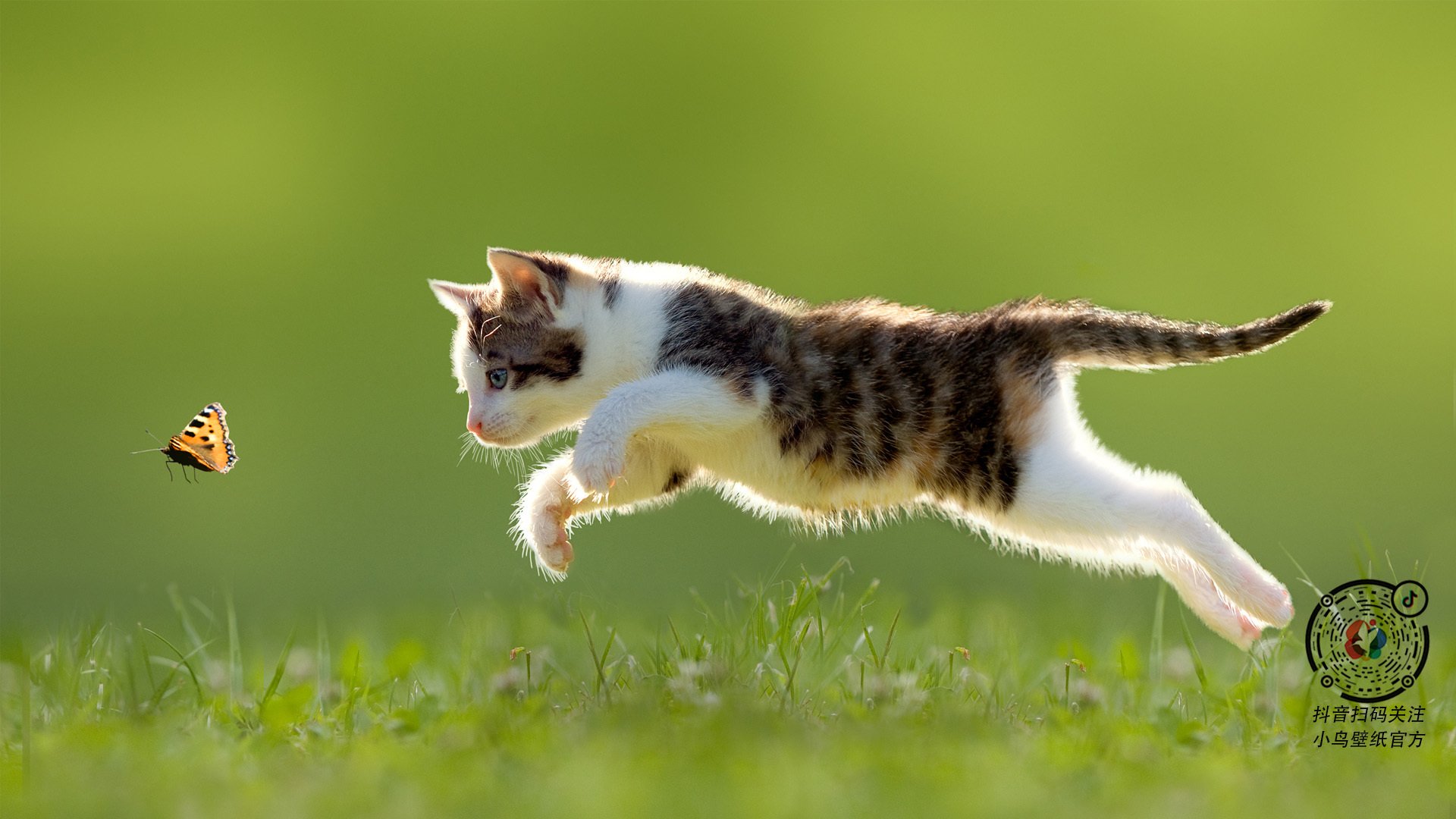 “马科斯·梅特罗的精准防守和突破能力，成就美洲狮队的未来核心”