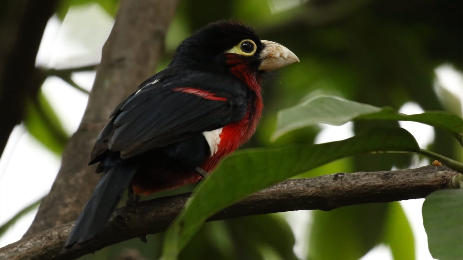 开云体育在线官网-世界杯高光瞬间：令人振奋的比赛精彩盘点，世界杯精彩程度排名