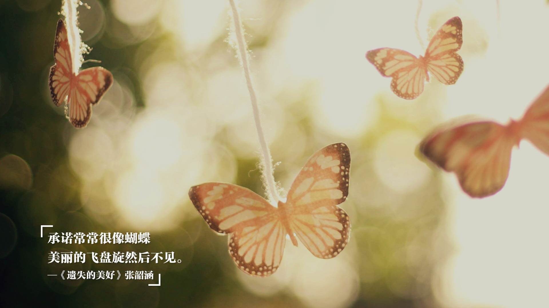 开云体育app在线-中国女排教练称年轻队员成长迅速，中国女排教练再上岗