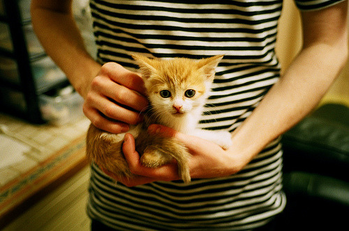 中国足球俱乐部社区青训项目取得丰硕成果,中国足球青训营