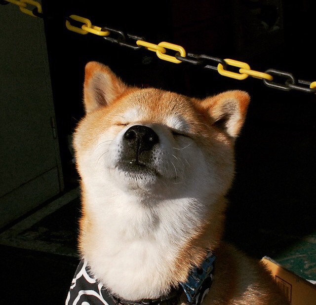 乌克兰男篮在欧洲预赛中奋勇拼搏,期待未来突破