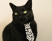 kaiyun网址-卢卡·乌兰多划水节奏极具美感