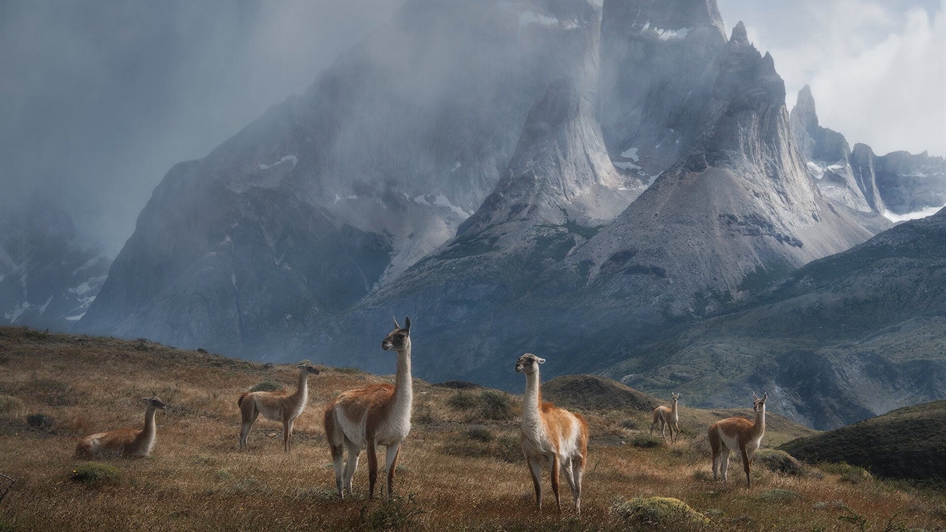 国家队推动战术专题片制作强化内部学习材料