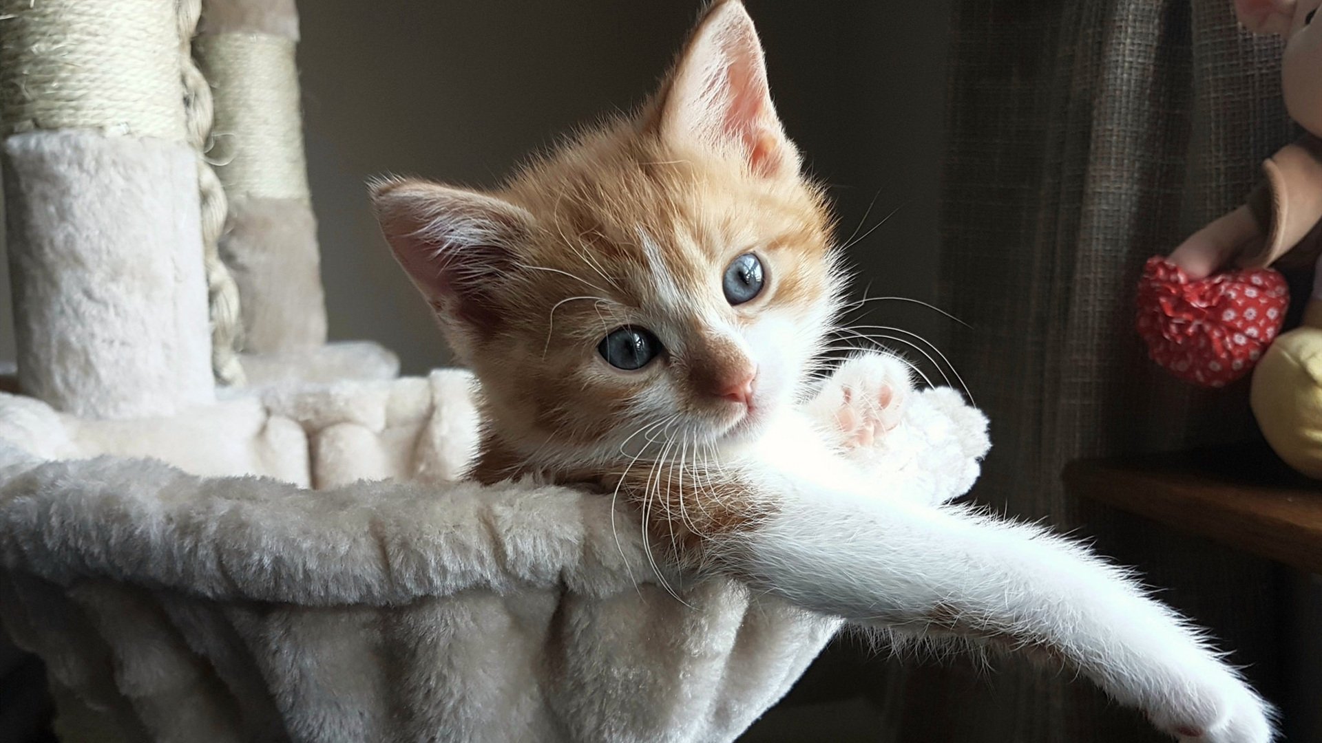 李娜成为知名运动品牌形象大使,李娜成为知名运动品牌形象大使的原因