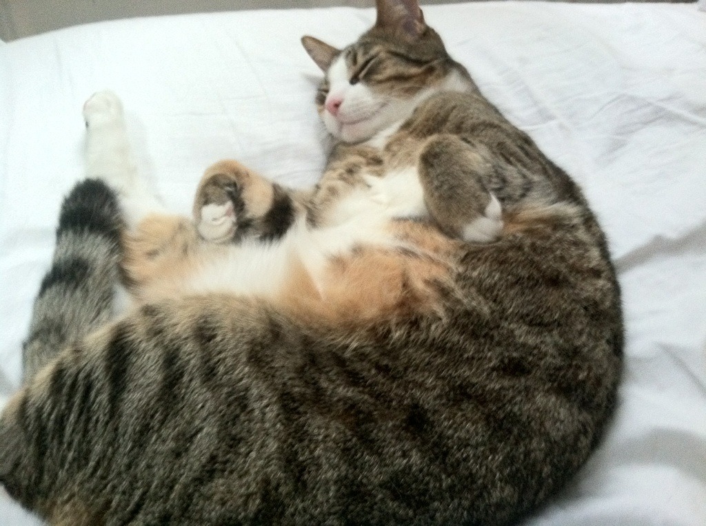 欧洲杯决战：最后一刻的英雄闪耀全场，欧洲杯决赛最后一场