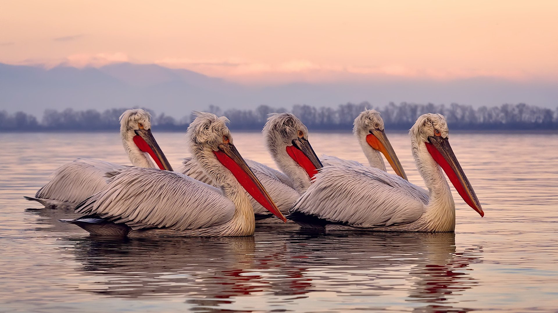 开云体育官网app-欧洲杯绝地反击：逆转战局的神级表现，欧洲杯绝代