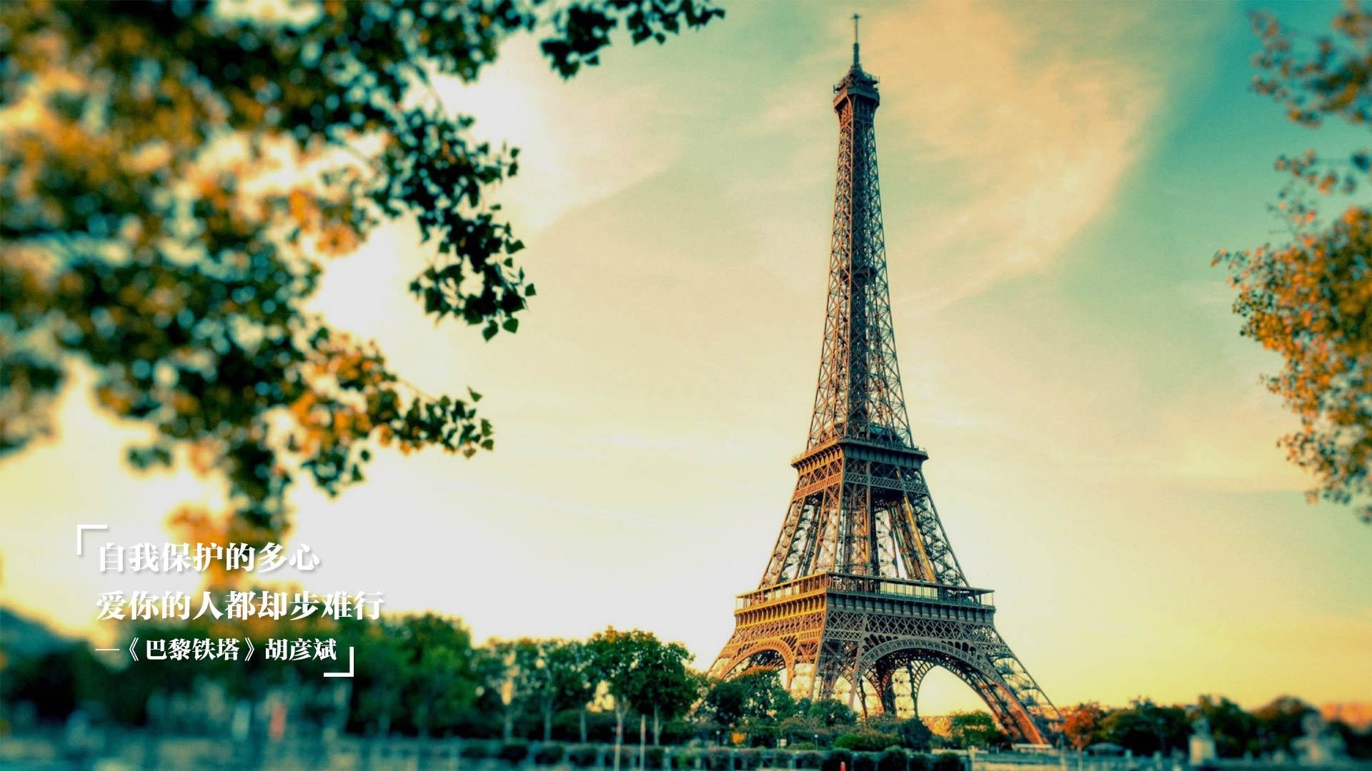 开云体育娱乐-沃尔什展现蝶泳极限速度，蝶泳最好成绩