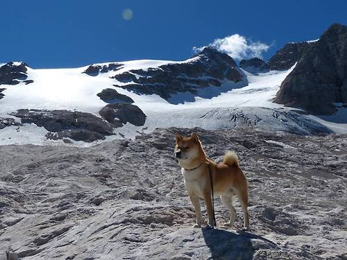 老鹰调整战术重点发挥锋线突破能力,老鹰进攻