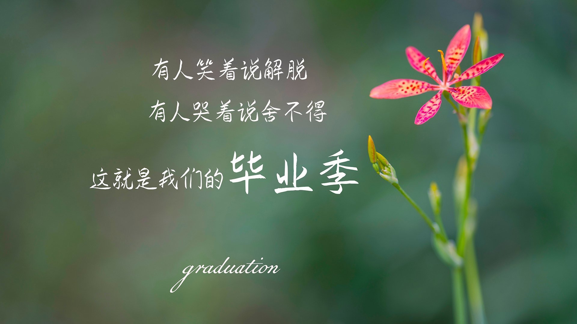 自由泳比赛突尼斯节奏渐入佳境,自由泳 突尼斯