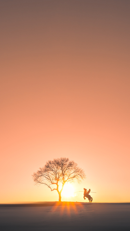 苏炳添参与科技团队共同研发训练仪,苏炳添试训