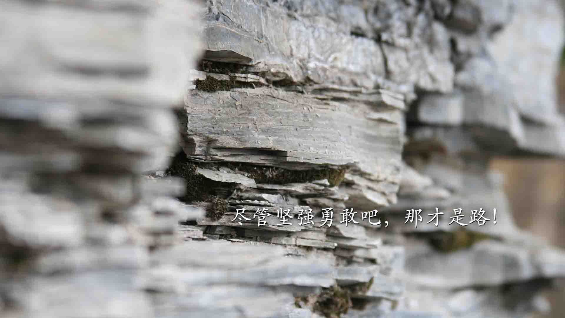 跳水团队历史突破带来国民关注，跳水团队几人